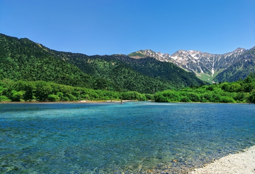 水中植物の光合成に効果を与え、成長促進