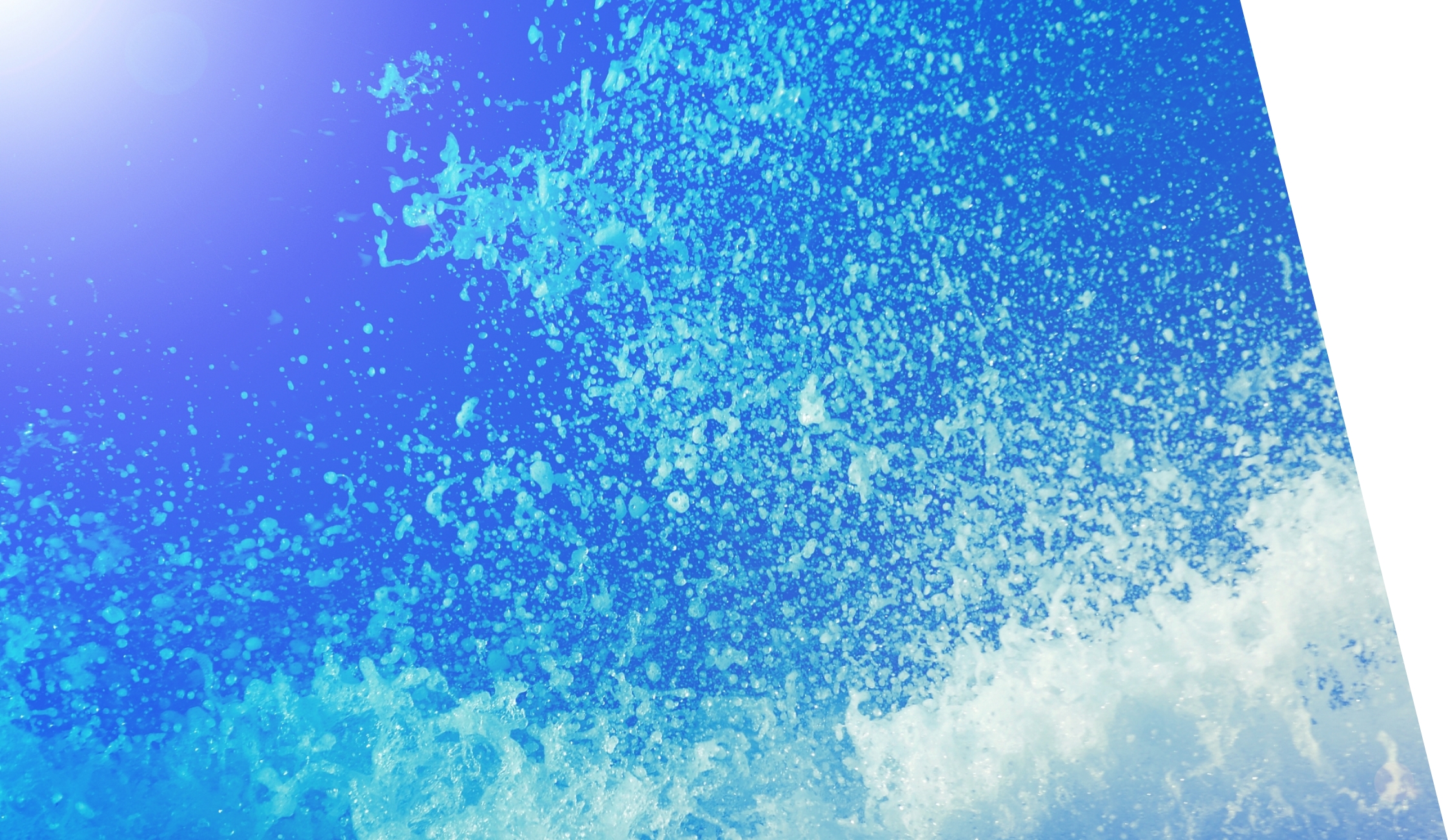 科学分野で世界に新たな価値を生み出す